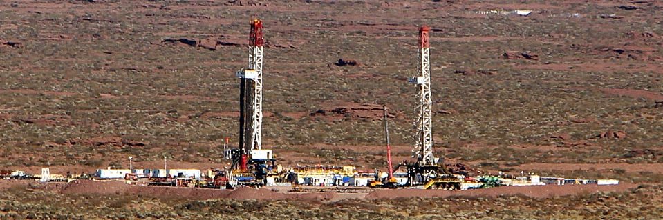 Vaca Muerta News banner