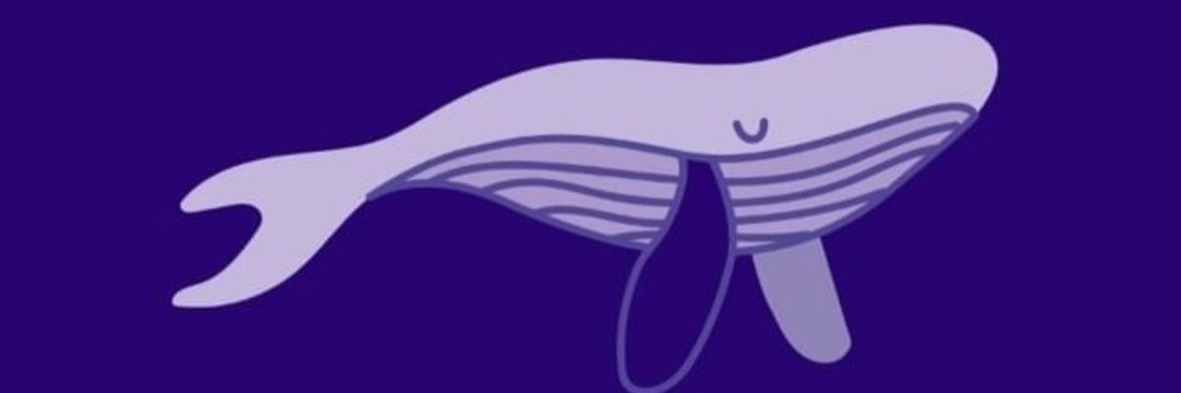 agustdmoe's profile banner image