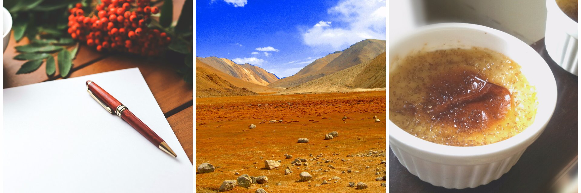 FreeMindtree's profile banner image