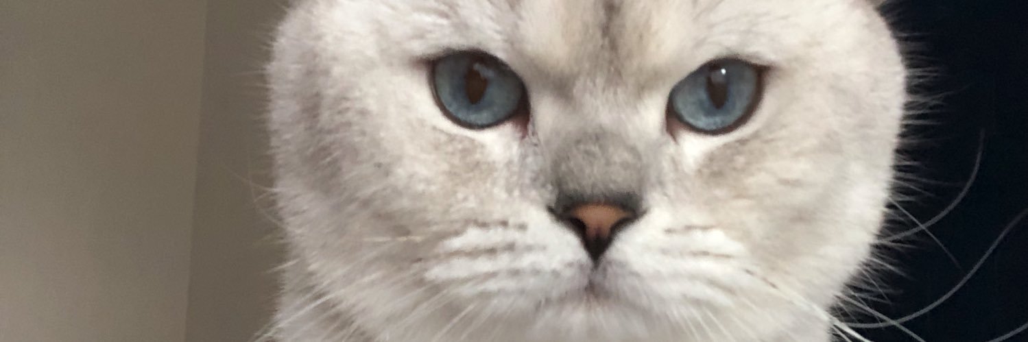 nurdincaslan's profile banner image