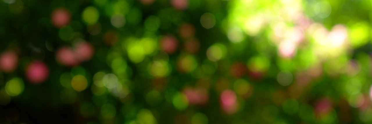 wingswei's profile banner image