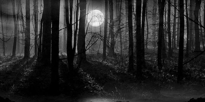 El Piñas 🍍 banner