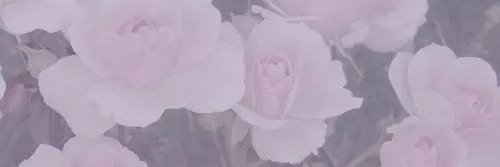 kz__19's profile banner image