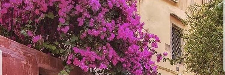 Fatomm3's profile banner image
