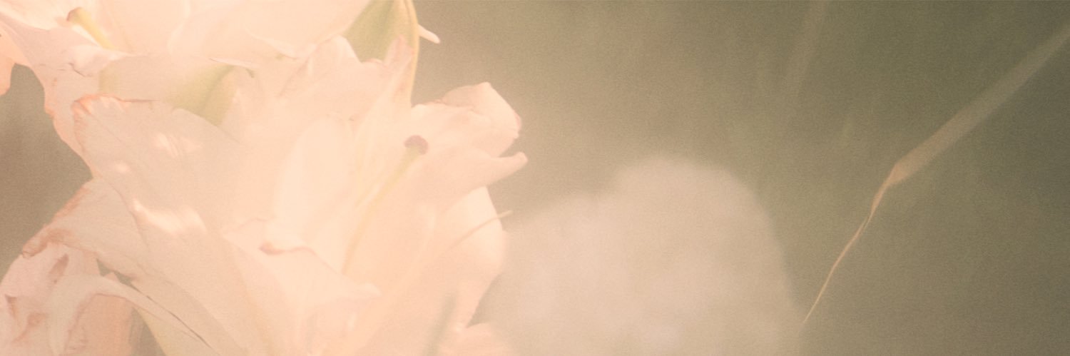 gentian4649's profile banner image