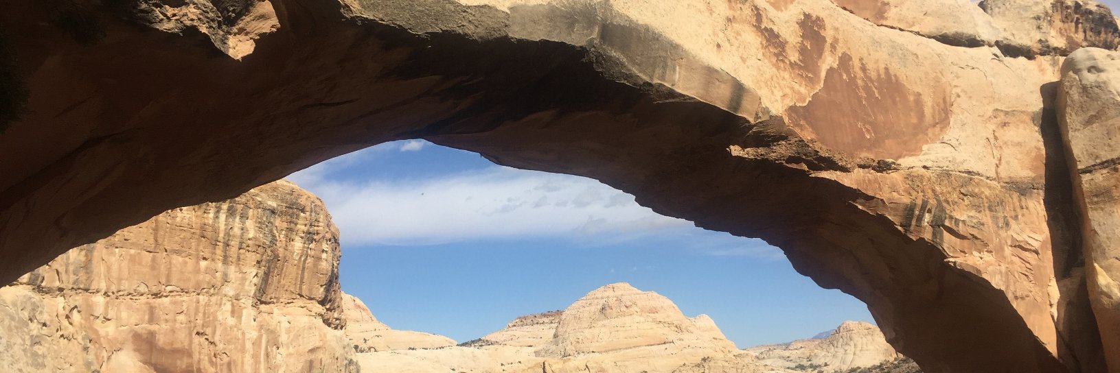 Michael McCaughan banner