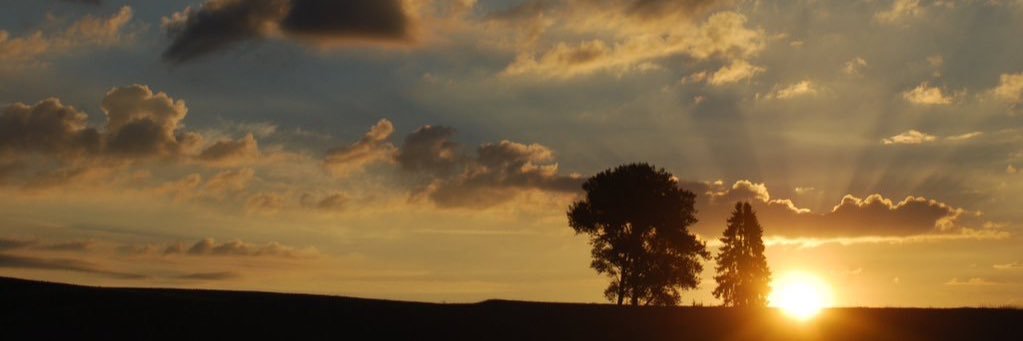 Tashel_'s profile banner image