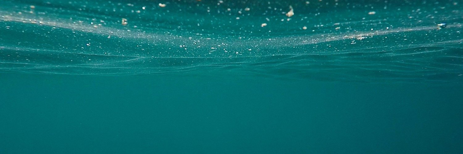 AthenaMelliar's profile banner image