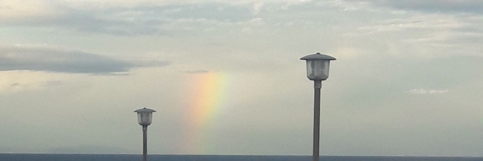 PippaMavian's profile banner image