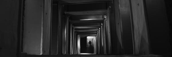 TaborChichakly Profile Banner