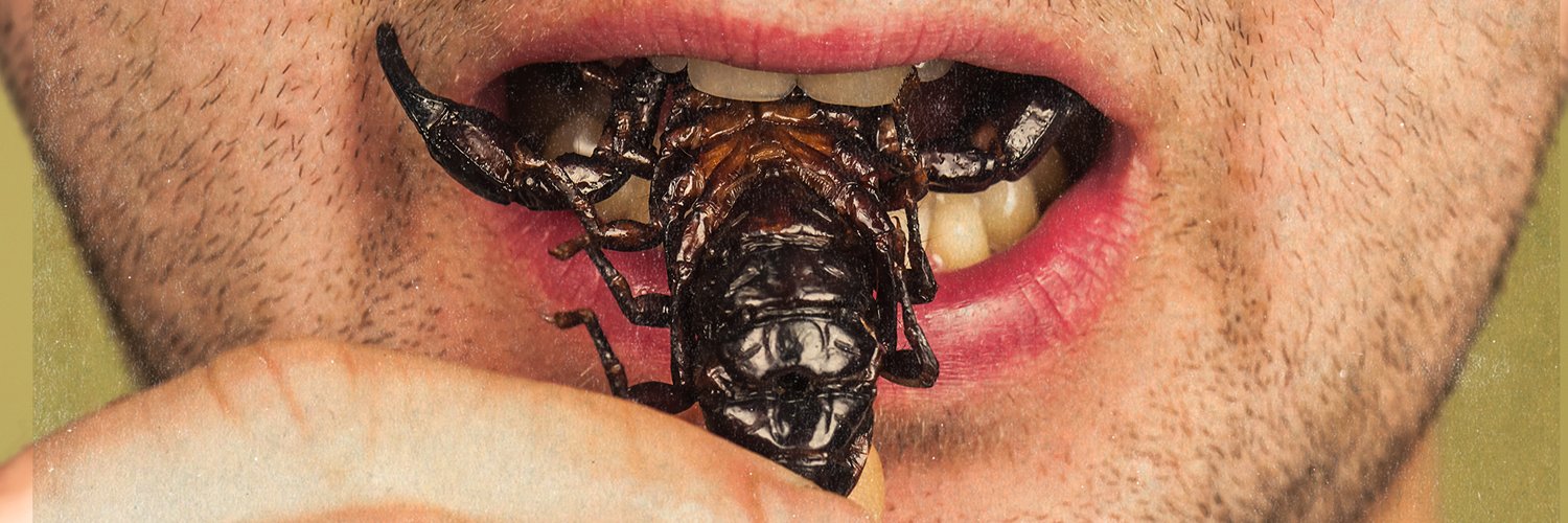 Insectéo banner