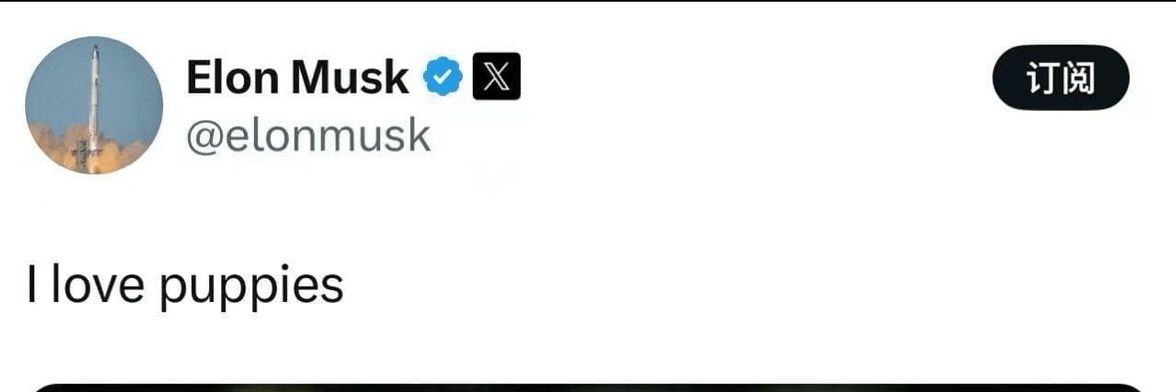 Augusxunt's profile banner image