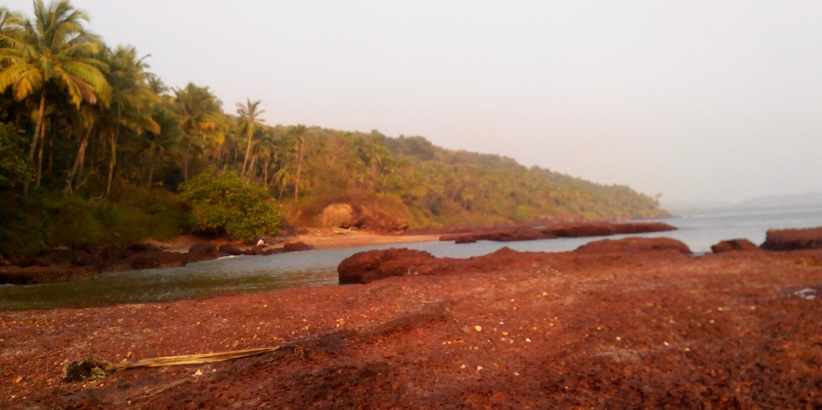 govind_shivani's profile banner image