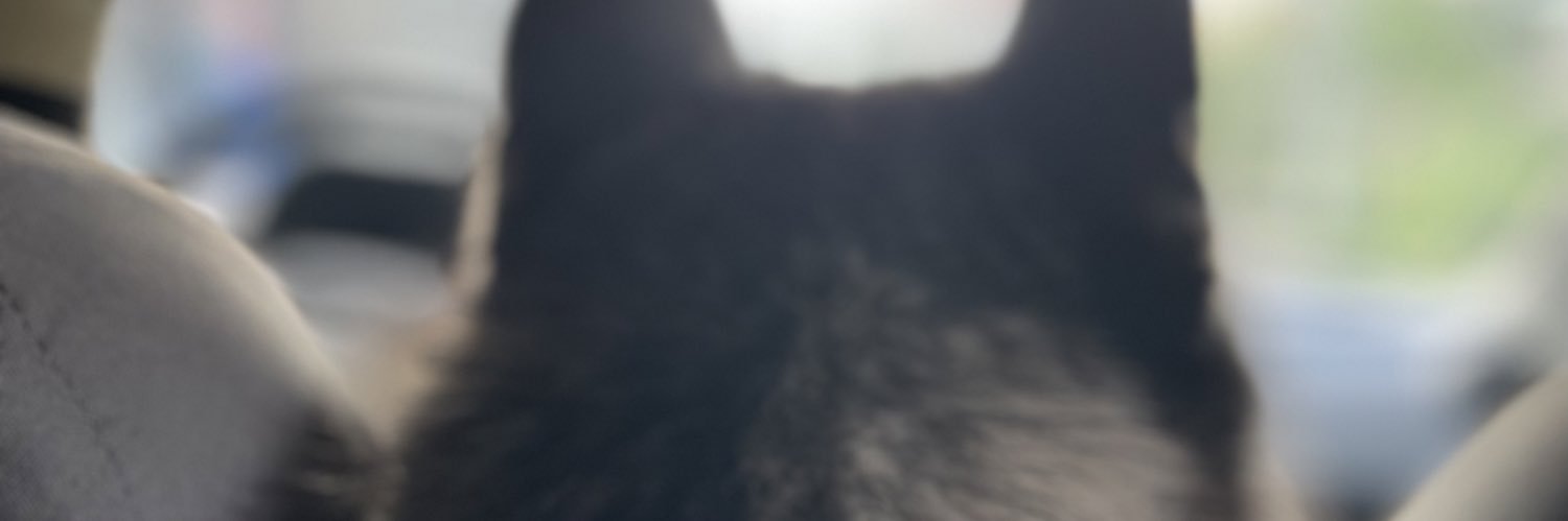 llooydieee's profile banner image