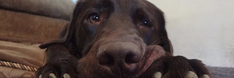 _eeeee1_'s profile banner image