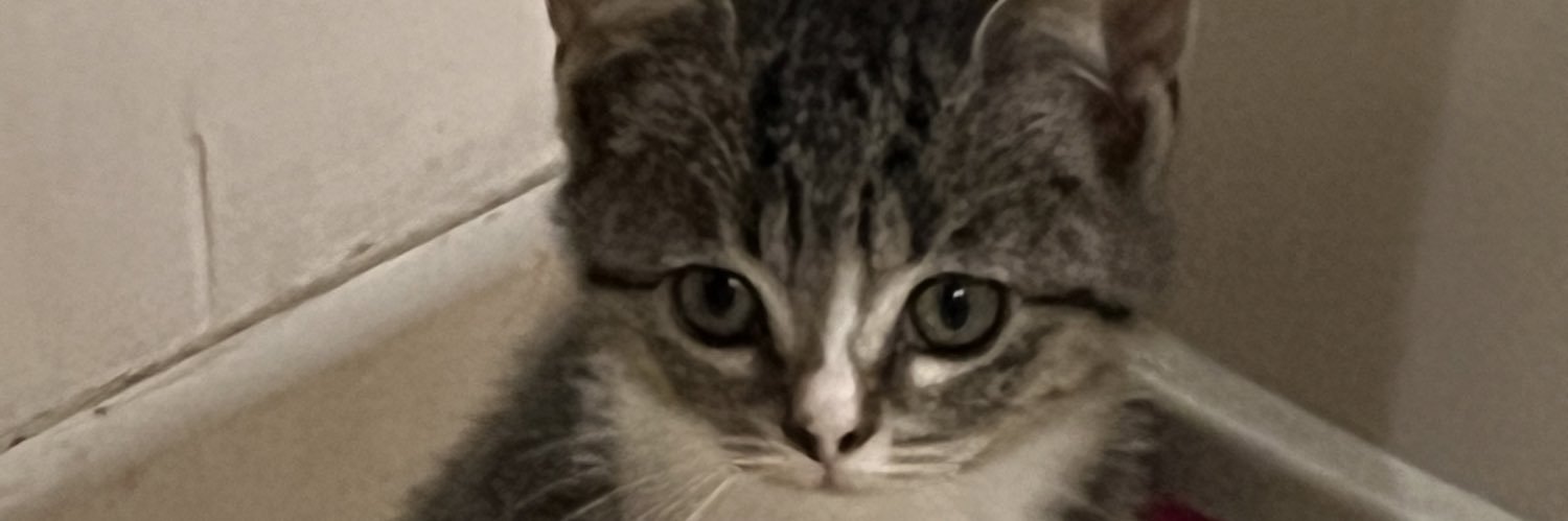 JBoukari's profile banner image