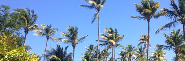 frederic29tour Profile Banner