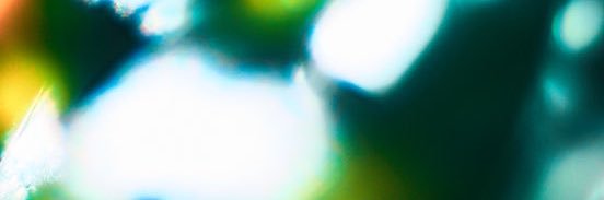 テディ/クマタマサアキ banner