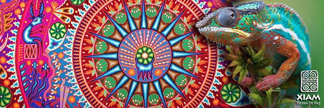 CentroXiam's profile banner image
