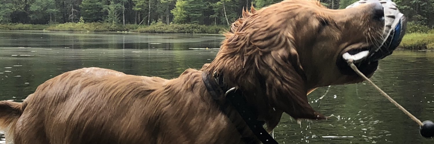 tjmurphy599's profile banner image