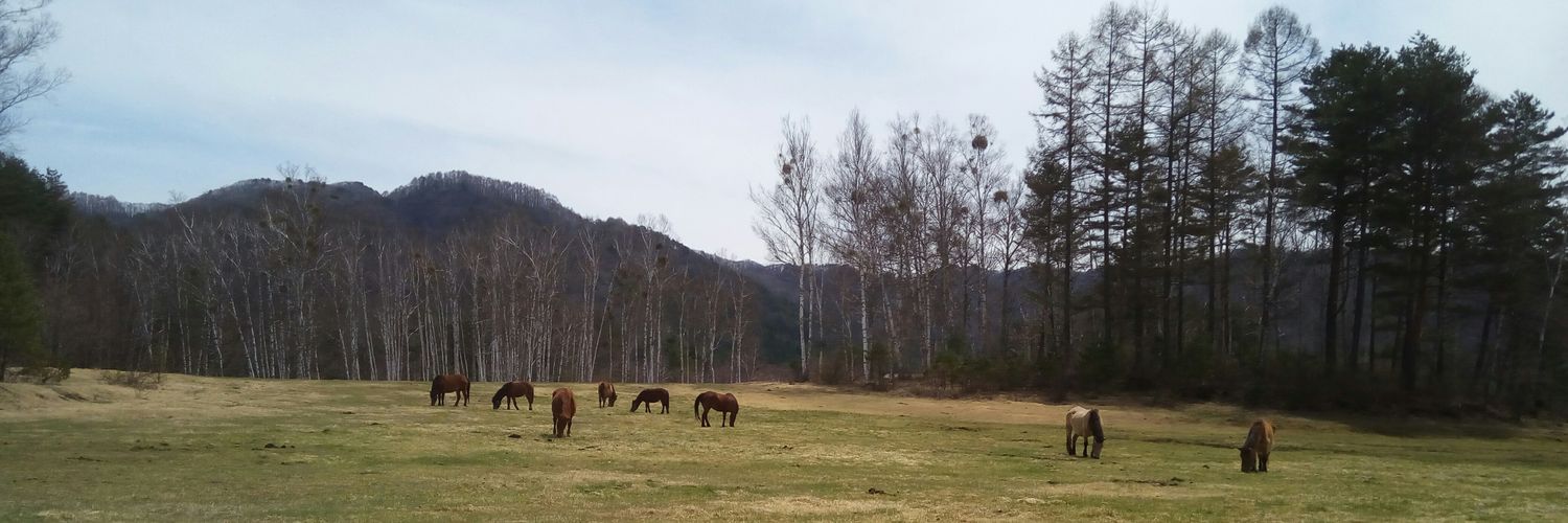 フラミン子 banner