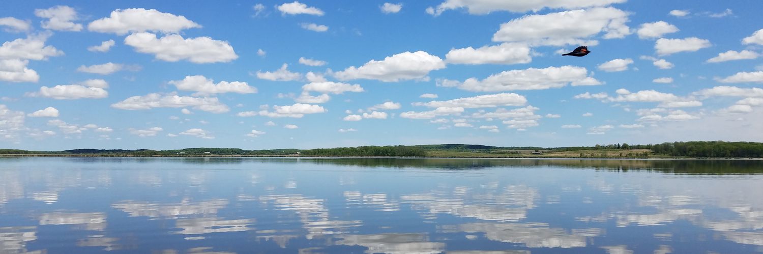 Andy Tiarks @AndyTiarks@mstdn.social banner