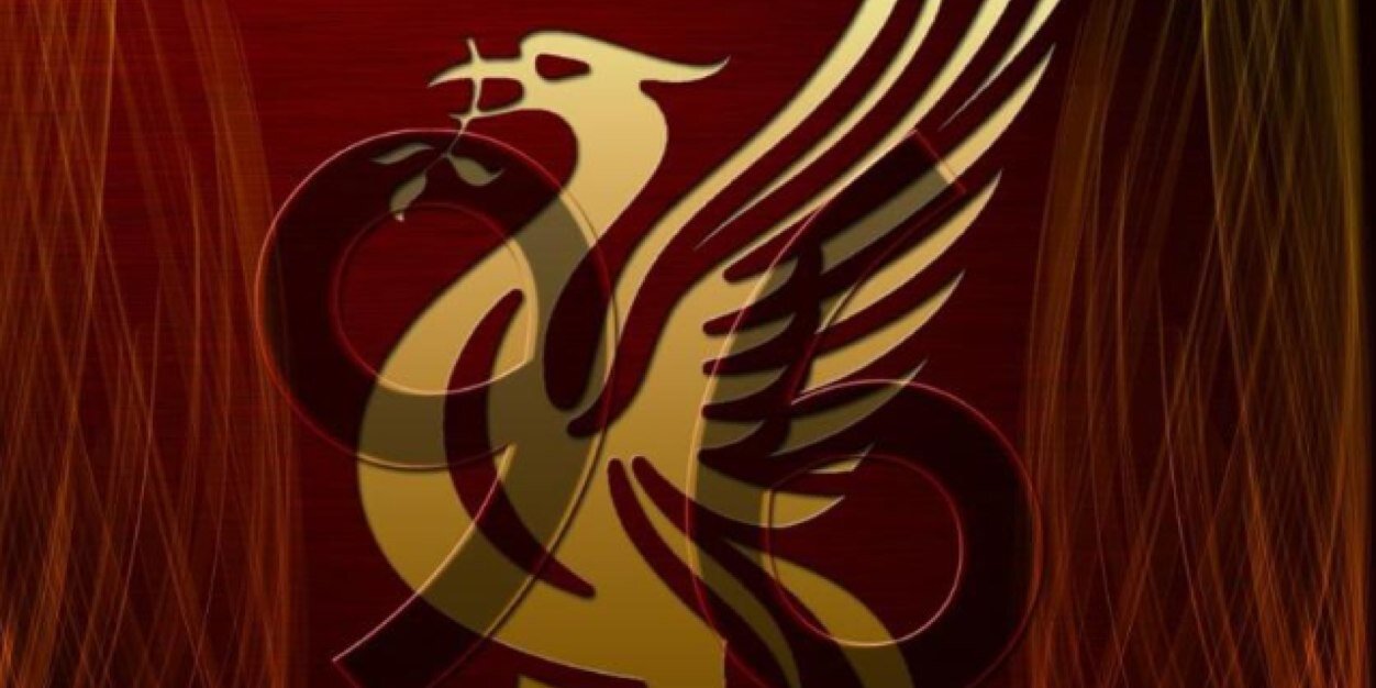 Bryan Mc Cann banner