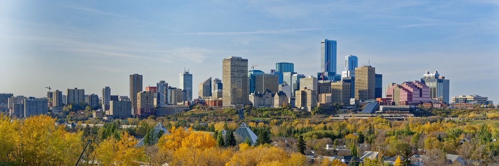 Daniel Shafran banner