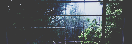 savedaccISS's profile banner image