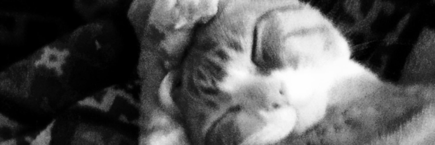 carywithlive's profile banner image