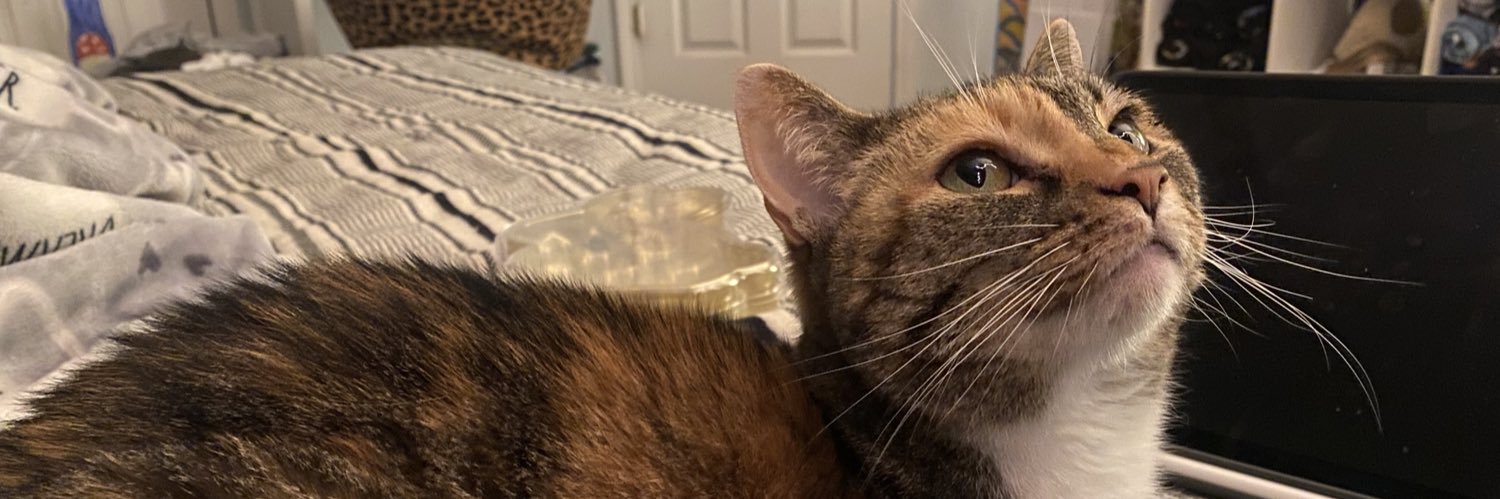sallyconway_'s profile banner image