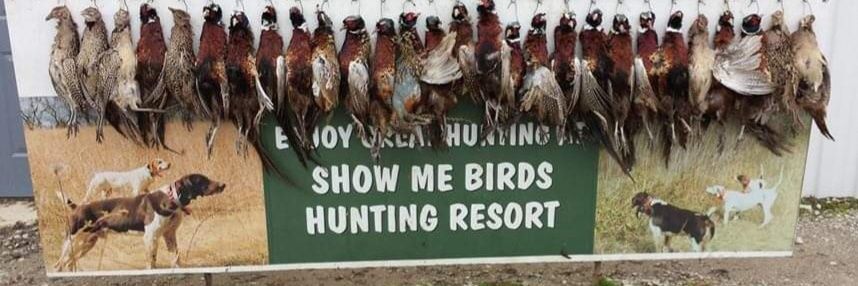 Daniel B Miles banner