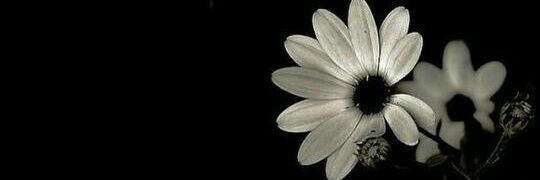 _itshnnah's profile banner image