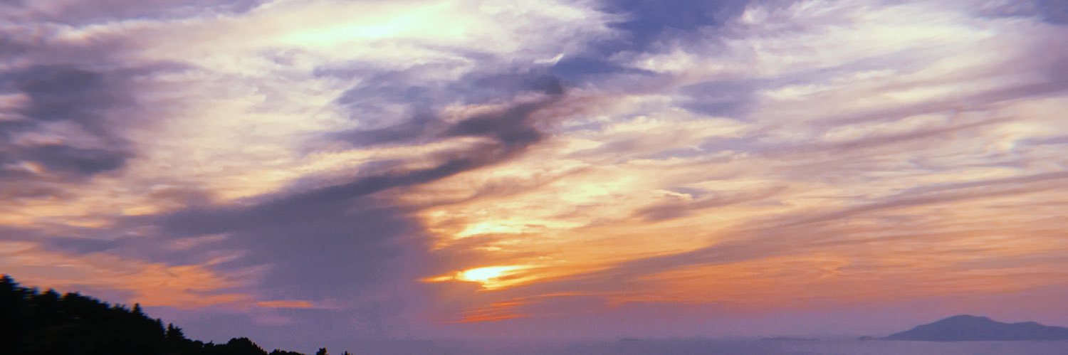 ShanMay_'s profile banner image