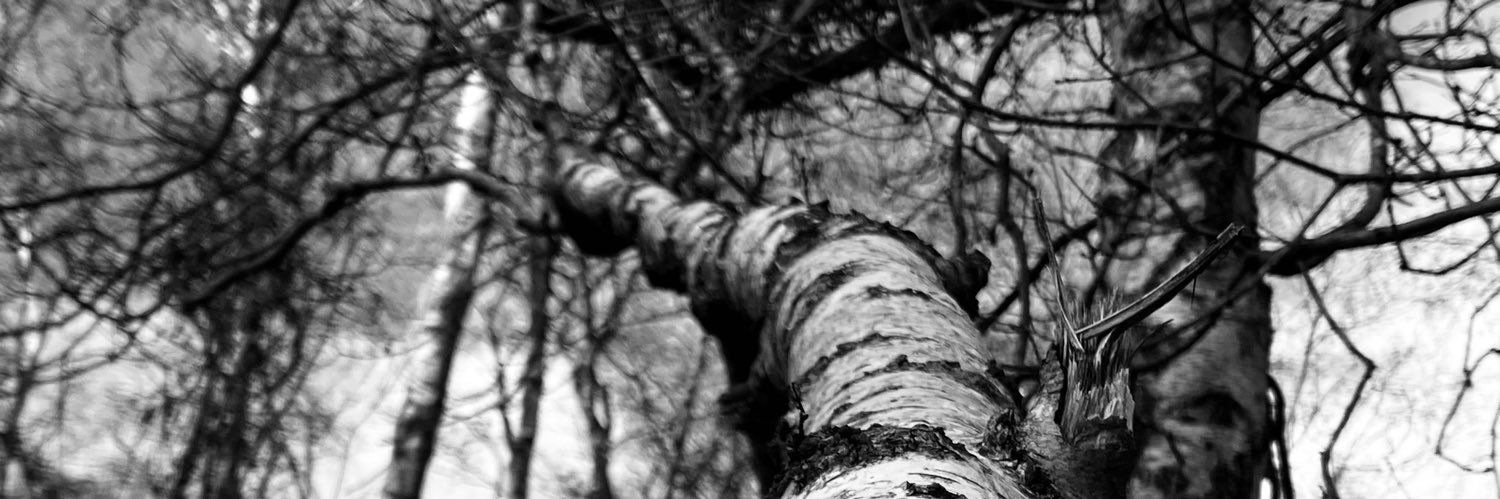 rob_wheeler_'s profile banner image