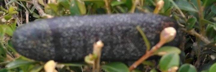 alaktic's profile banner image