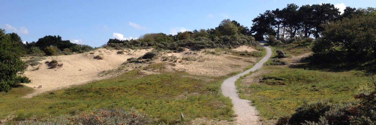 Bijgeleerd's profile banner image