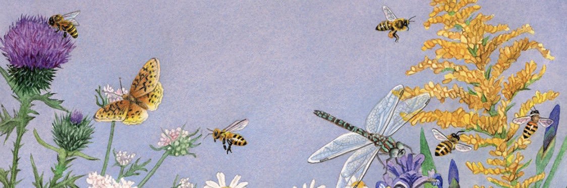 SimoneSeager's profile banner image