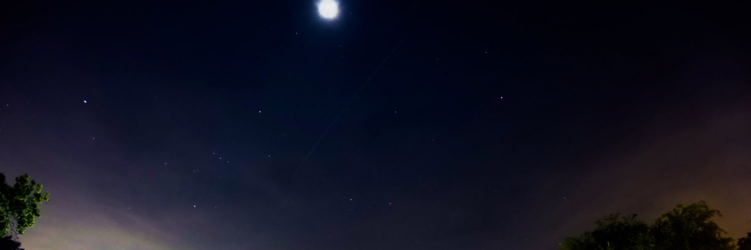 mp199521 banner