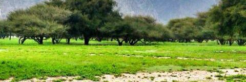 am9ah33's profile banner image