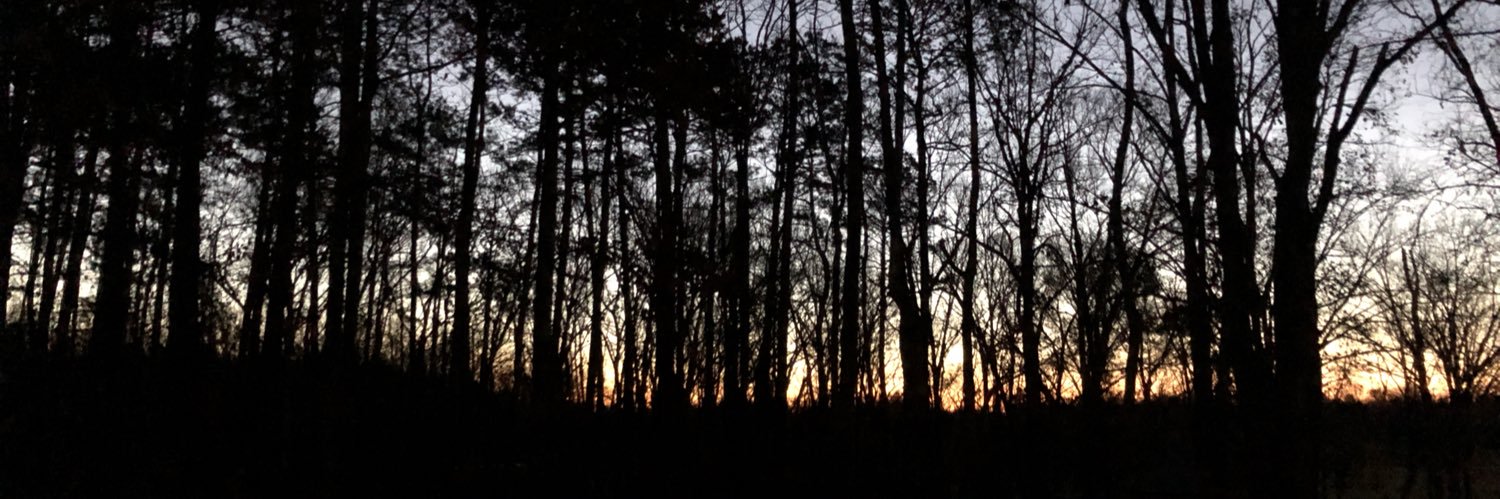 aabston66's profile banner image