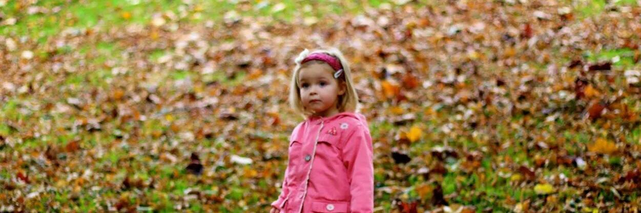 Dan Griffiths banner