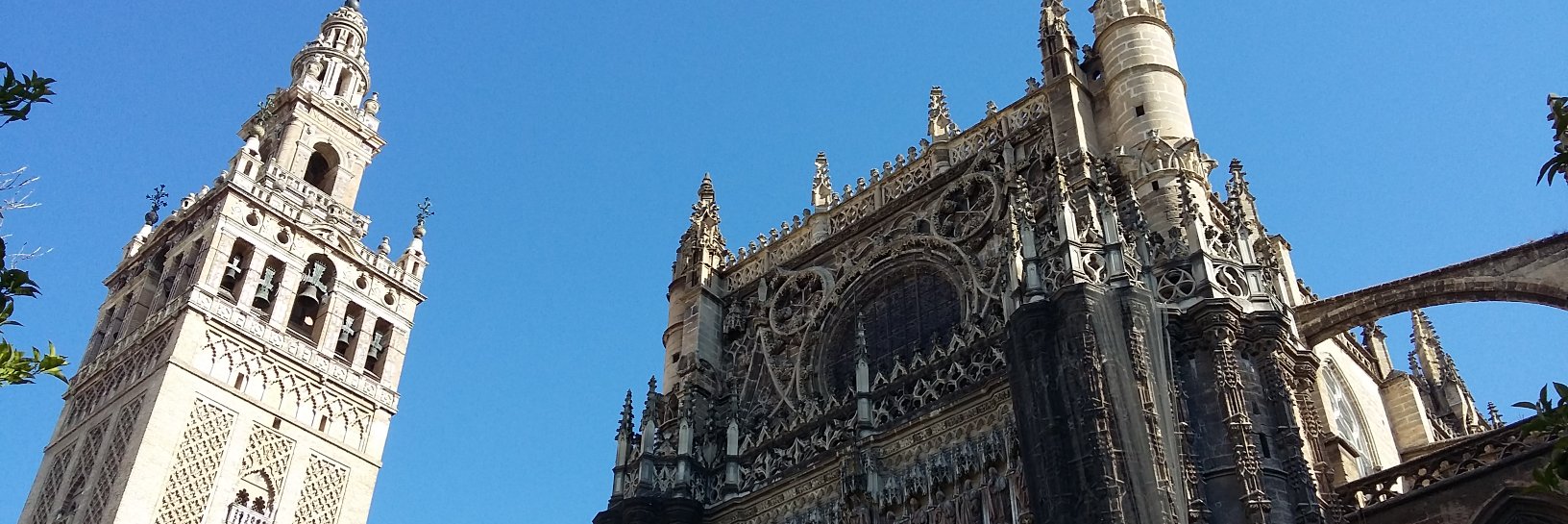Daniel Seta banner
