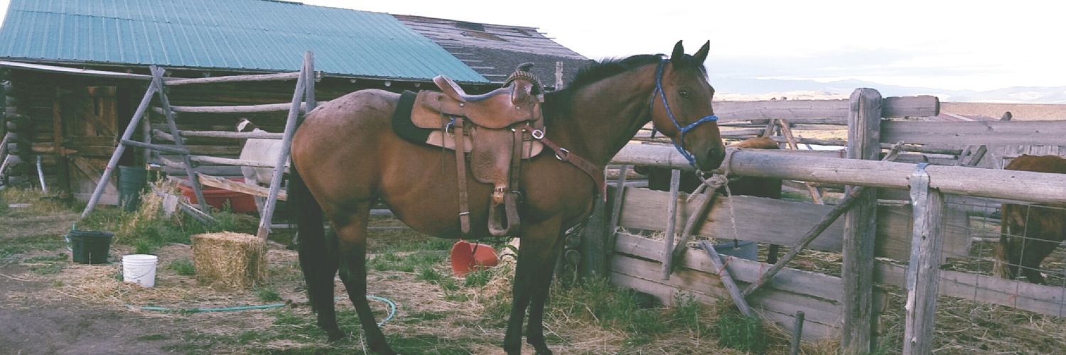 krissy_paske's profile banner image