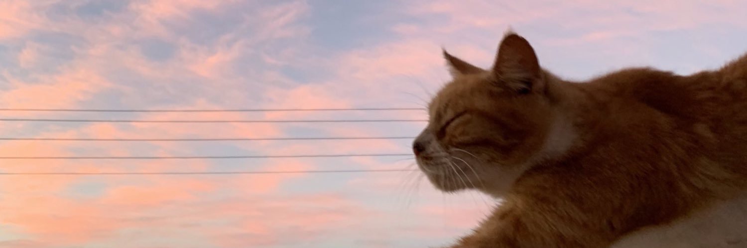 Ginger5808's profile banner image