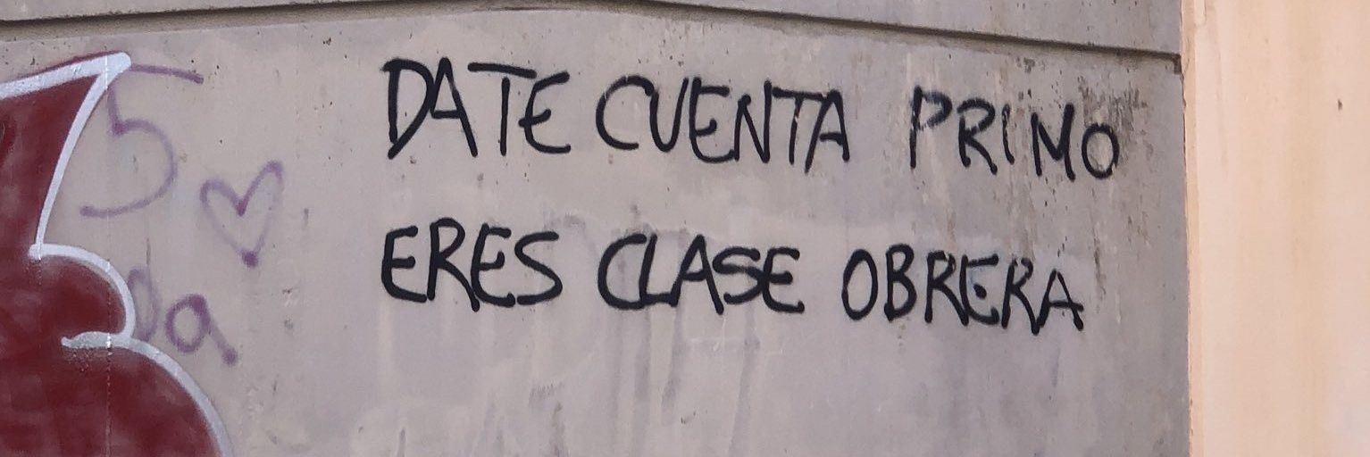 lagartixa inquilina banner