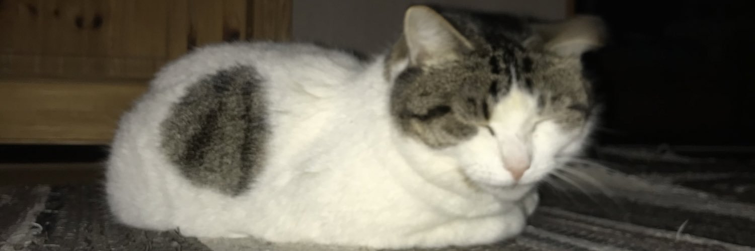 PaksMoos's profile banner image
