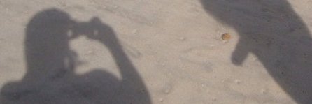 Bono_Borges's profile banner image