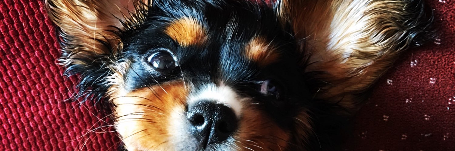 Martin_Dale_'s profile banner image