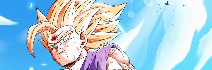Antho banner
